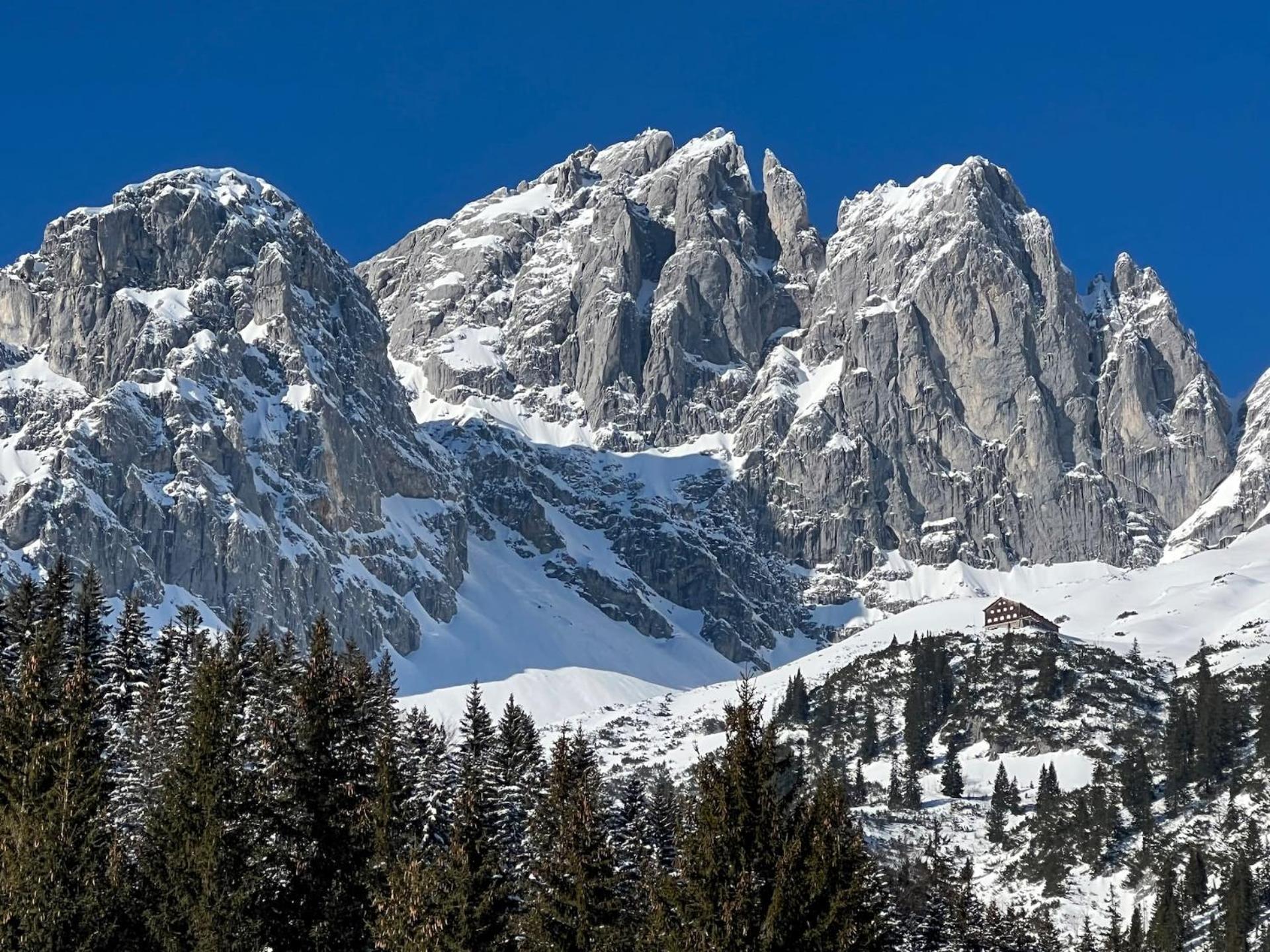Geniessen Sie Bergblick & Sauna Im Modernen Chalet Going am Wilden Kaiser Zewnętrze zdjęcie