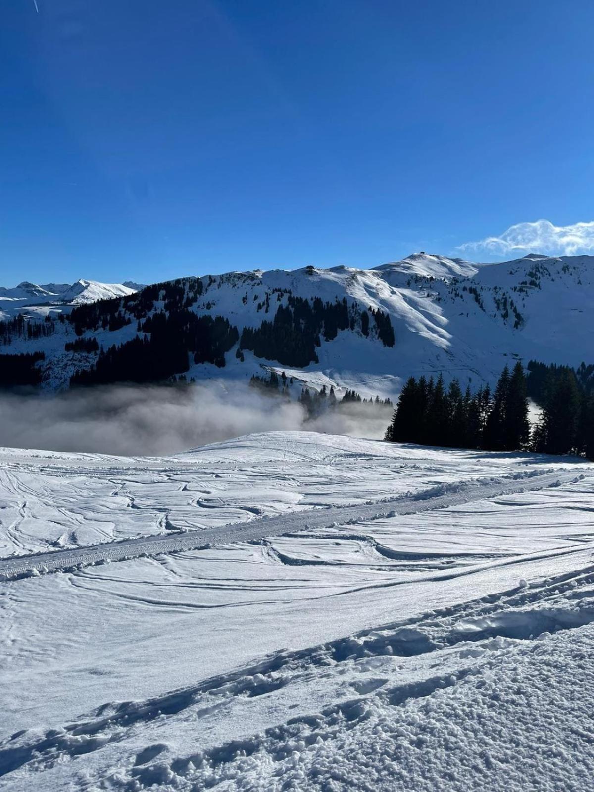 Geniessen Sie Bergblick & Sauna Im Modernen Chalet Going am Wilden Kaiser Zewnętrze zdjęcie
